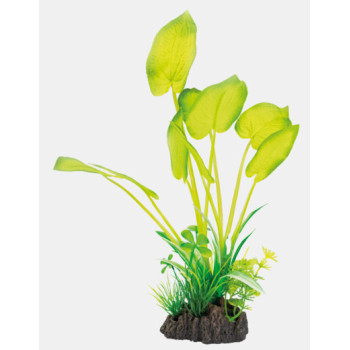 ART PLANT ECHINODORUS